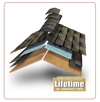 logo liftime